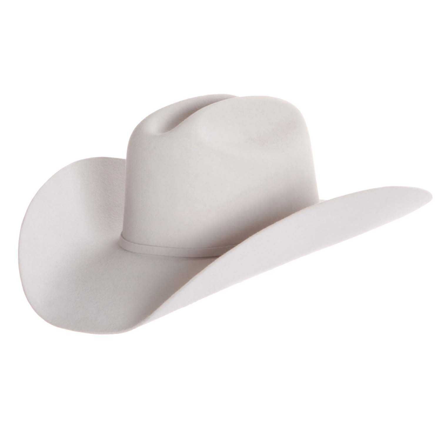Resistol Remuda Silver Grey Felt Cowboy Hat