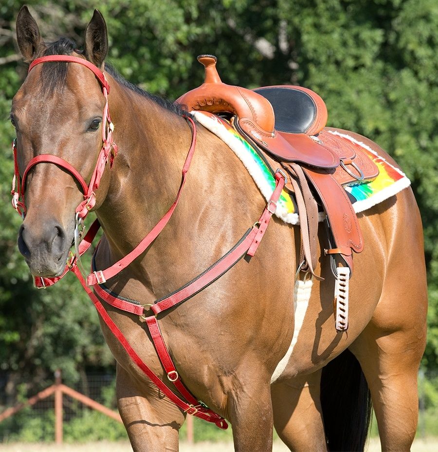 Horse Tack  Shop Western Horse Tack at PFI Western