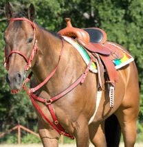 Mustang Bridle and Go Tack Set, RED