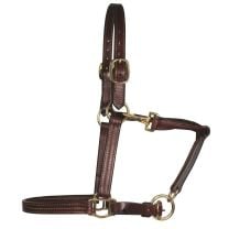 Professional's Choice Classic Leather Halter (Cob)