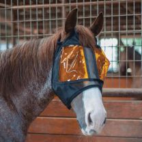 Restoration Equine Mask