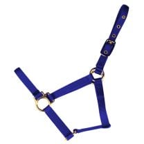 Valhoma Blue Horse Halter (Colt)