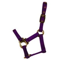 Valhoma Purple Horse Halter (Pony)