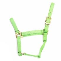 Valhoma Lime Green Horse Halter (Small)