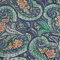 Western Colorful Paisley Silk Wild Rag