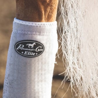 horse leg and hoof protection