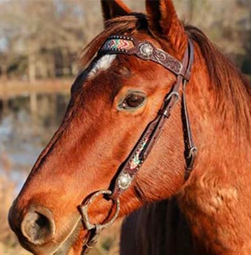 Bridle Headstalls